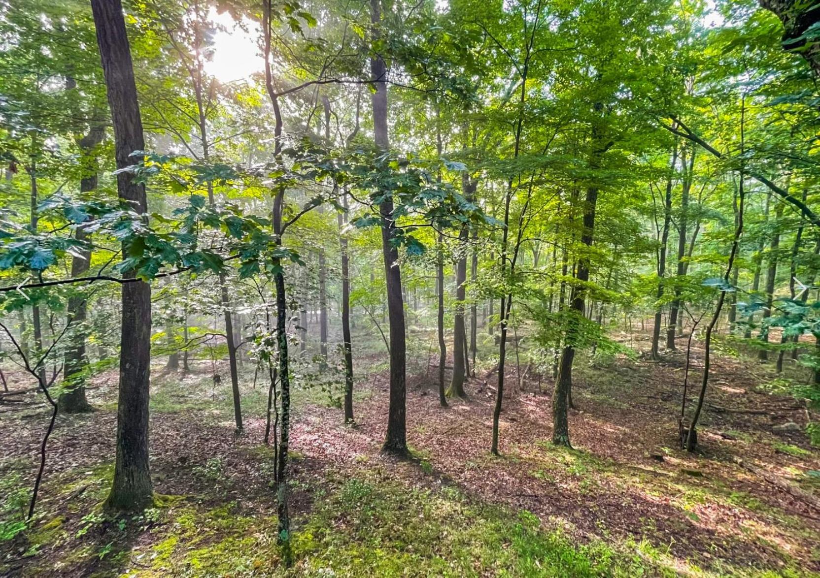 Hot Tub, Large Deck, Grill, Wifi, Resort Amenities Berkeley Springs Exterior photo